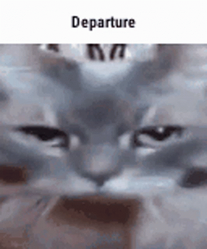 Departure