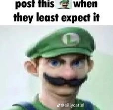 Luigi