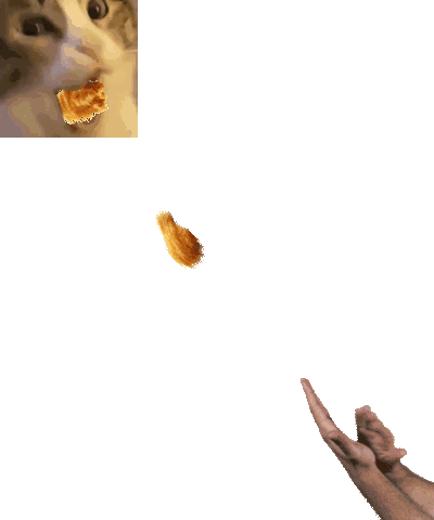 Chicken nuggets
