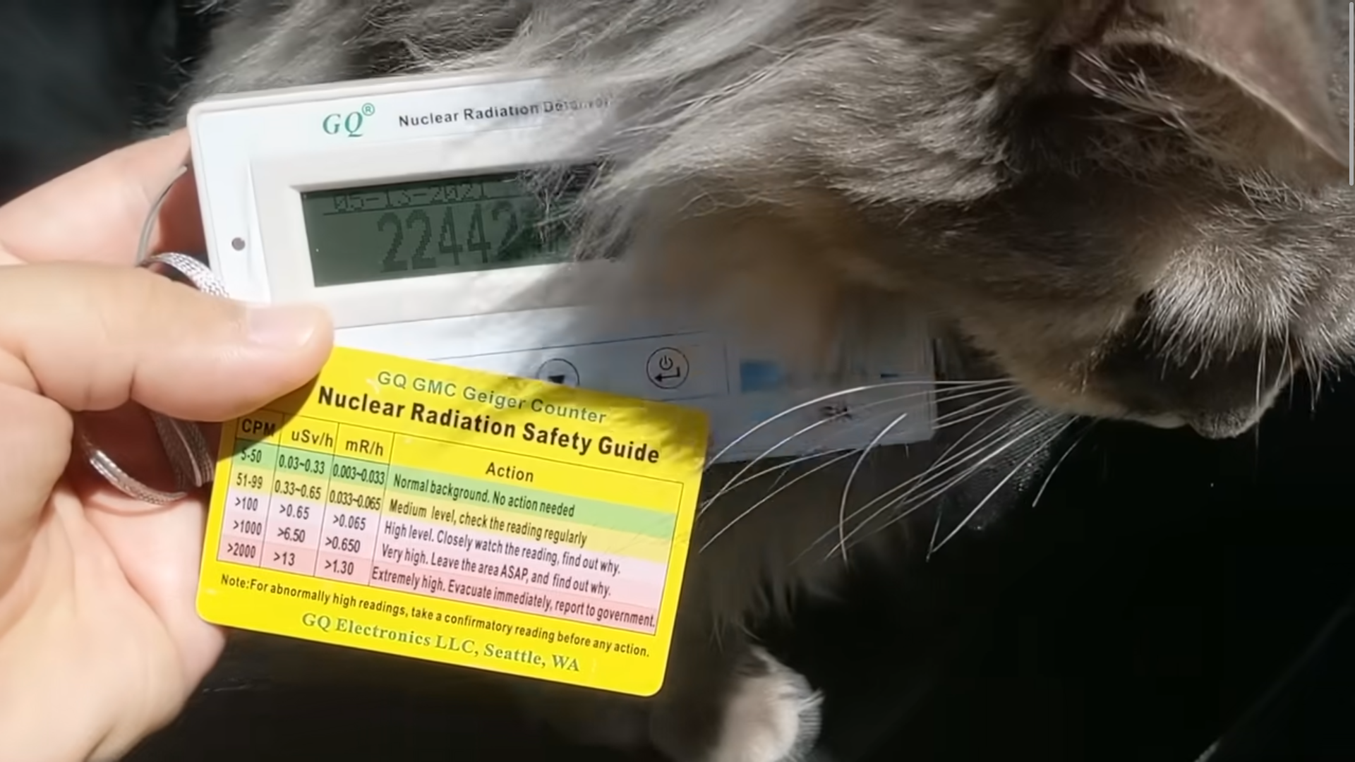 Radioactive cat