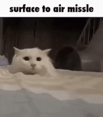 Missile