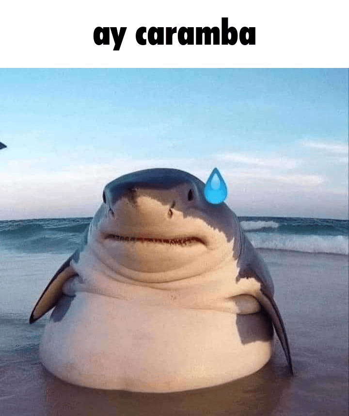 To gif